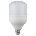 Лампа светодиодная Эра LED smd POWER 20W-6500-E27